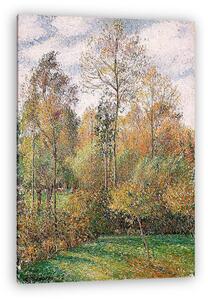 Camille Pissarro: Nyárfák ősszel, Eragny-ban (vászonkép)