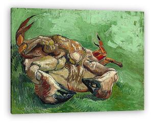Vincent Van Gogh: Rák a hátára fordulva (vászonkép)