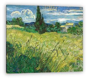 Vincent Van Gogh: Zöld búzamező ciprussal (vászonkép)