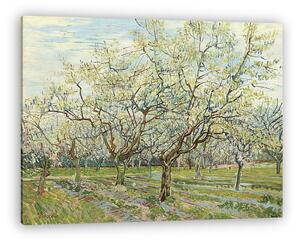 Vincent Van Gogh: Fehér gyümölcsös (élénk színverzió) (vászonkép)