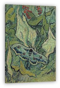 Vincent Van Gogh: Pávaszemes lepke (vászonkép)