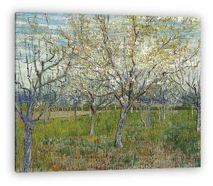 Vincent Van Gogh: Rózsaszín virágba borult gyümölcsös (vászonkép)