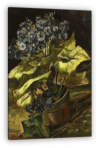 Vincent Van Gogh: Cinerária (vászonkép)