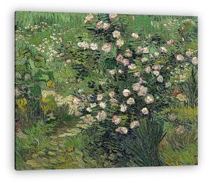 Vincent Van Gogh: Rózsák (vászonkép)