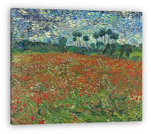 Vincent Van Gogh: Pipacsmező (vászonkép)