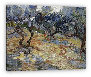 Vincent Van Gogh: Olajfák (vászonkép)