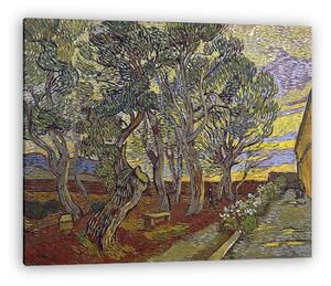 Vincent Van Gogh: A Szent Pál kórház kertje (vászonkép)