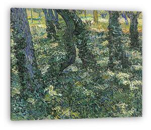 Vincent Van Gogh: Erdei aljnövényzet (vászonkép)