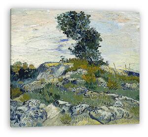 Vincent Van Gogh: Sziklák (vászonkép)