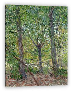Vincent Van Gogh: Fák (vászonkép)