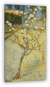 Vincent Van Gogh: Virágzó kis körtefa (vászonkép)