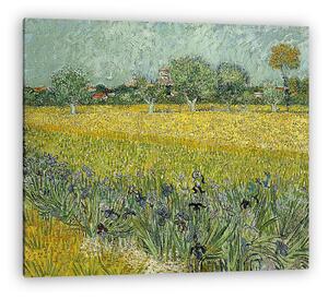 Vincent Van Gogh: Arles látképe íriszekkel az előtérben (1888) (vászonkép)
