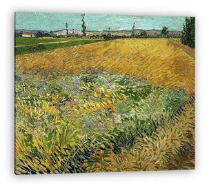 Vincent Van Gogh: Búzamező (vászonkép)