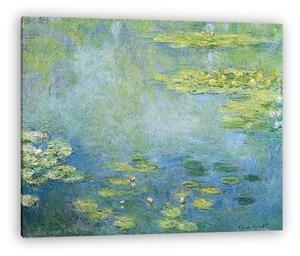 Claude Monet: Tavirózsák (1906 körül) (vászonkép)