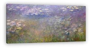 Claude Monet: Tavirózsák (vászonkép)