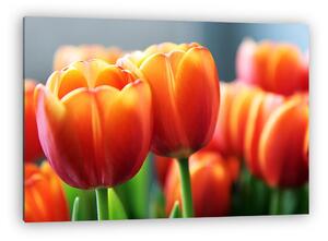 Tulipánok (vászonkép)