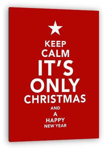 Keep Calm - It's Only Chrismtas and a Happy New Year (vászonkép)