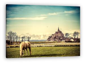 Legelésző ló, háttérben a Mont-Saint-Michel (vászonkép)