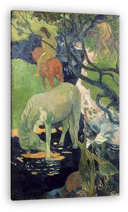 Paul Gauguin: Fehér ló (vászonkép)