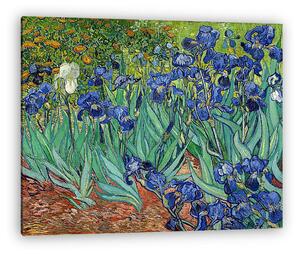 Vincent Van Gogh: Íriszek (vászonkép)