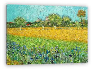 Vincent Van Gogh: Arles látképe íriszekkel az előtérben (szín. részlet, 1888) (vászonkép)