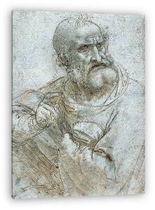 Leonardo da Vinci: Apostol (színváltozat 1.) (vászonkép)