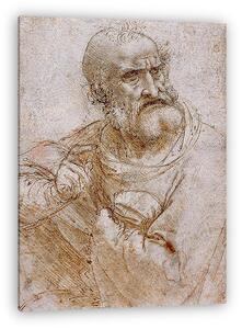 Leonardo da Vinci: Apostol (színváltozat 2.) (vászonkép)