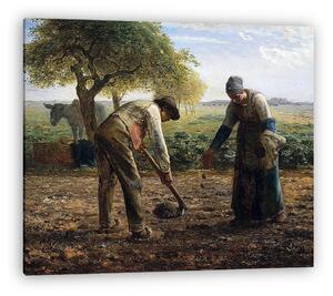 Jean-François Millet: Burgonya ültetők - színverzió 1. (vászonkép)