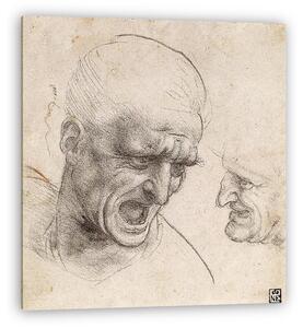 Leonardo da Vinci: Harcosok feje, tanulmány (vászonkép)