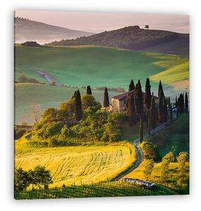 Toszkána, reggel Val d 'Orcia-ban (vászonkép)