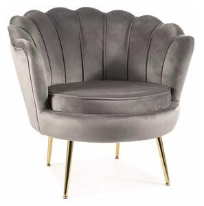 Ionia Velvet fotel, szürke