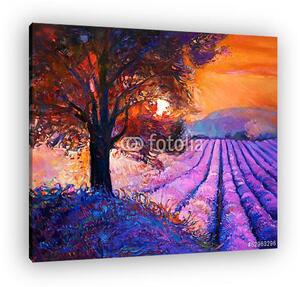 Lavender (vászonkép)