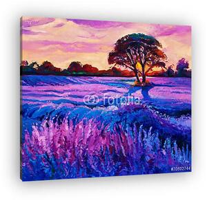 Lavender (vászonkép)
