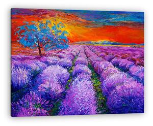 Lavender mezők (vászonkép)