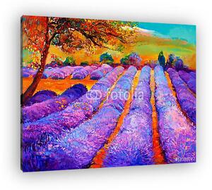 Lavender mezők (vászonkép)
