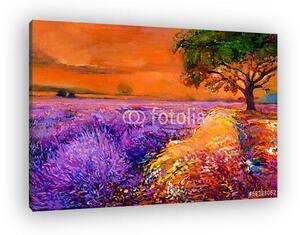 Lavender mezők (vászonkép)