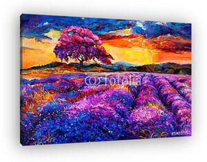 Lavender mezők (vászonkép)
