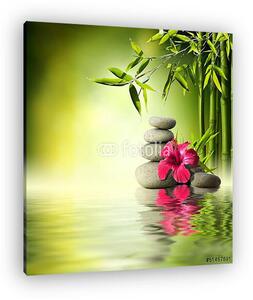 Stones, piros hibiszkusz és bambusz a vízen (vászonkép)
