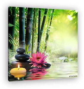 Masszázs a természetben - liliom, kövek, bambusz - zen koncepció (vászonkép)