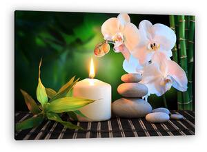 Spa összetétel: fehér orchidea, gyertya és kövek zöld (vászonkép)