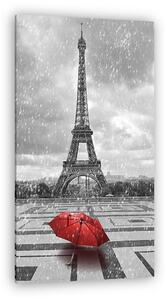 Eiffel-torony az esőben. Fekete-fehér fénykép piros elemekkel (vászonkép)