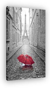 Eiffel-torony kilátás Párizs utcájától (vászonkép)