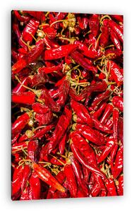 Hungary pepper (vászonkép)