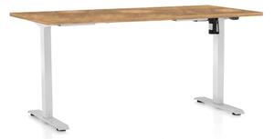OfficeTech A állítható magasságú asztal, 160 x 80 cm, fehér alap, arany tölgy