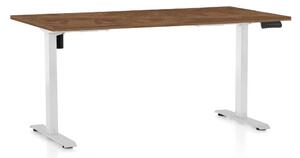 OfficeTech B állítható magasságú asztal, 160 x 80 cm, fehér alap, silverjack tölgy