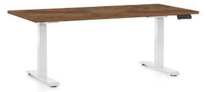 OfficeTech D állítható magasságú asztal, 160 x 80 cm, fehér alap, silverjack tölgy