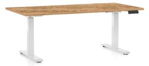 OfficeTech C állítható magasságú asztal, 160 x 80 cm, fehér alap, arany tölgy