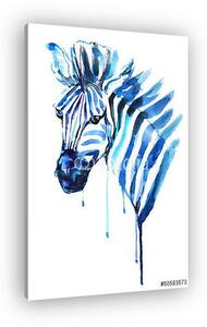 Zebra (vászonkép)