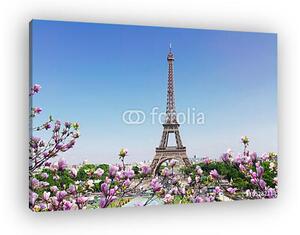 Eiffel-torony és Párizs városképe (vászonkép)