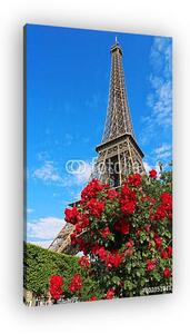 Eiffel-torony a vörös rózsa bokor mögött (vászonkép)